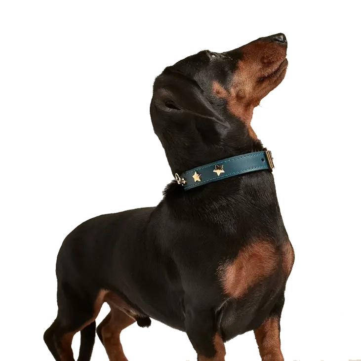 Halsband Nara blau / star Halsband Nara blau / star