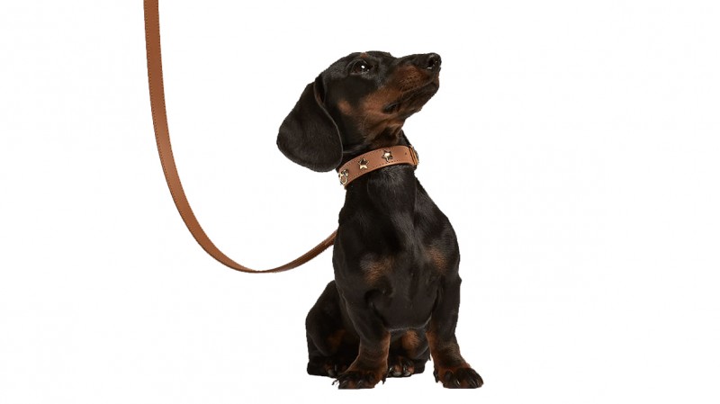 Hundeleine Nara caramel Hundeleine Nara caramel